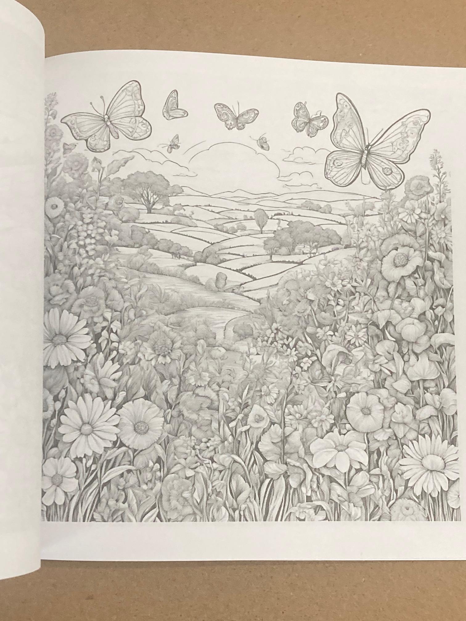 Relaxing Landscapes Coloring Book for Adults | Nature Scenes, Mountains ...