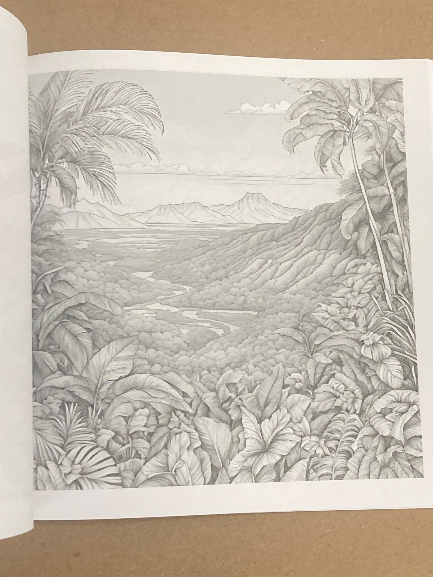 Relaxing Landscapes Coloring Book for Adults | Nature Scenes, Mountains ...