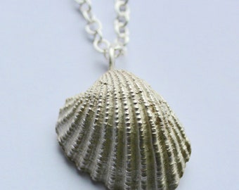 Sterling Silver Shell Necklace, shell necklace