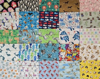 I Spy 5 inch Fabric Matching Charm Squares