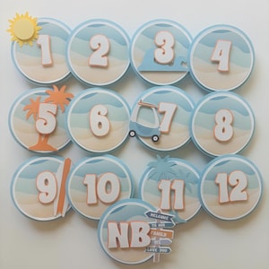 Surf Beach Theme Monthly Milestone,The Big One Photo Banner, Surf Beach Party Decor, 1st Birthday Party Decor,Beach Themed Birthday Banner.