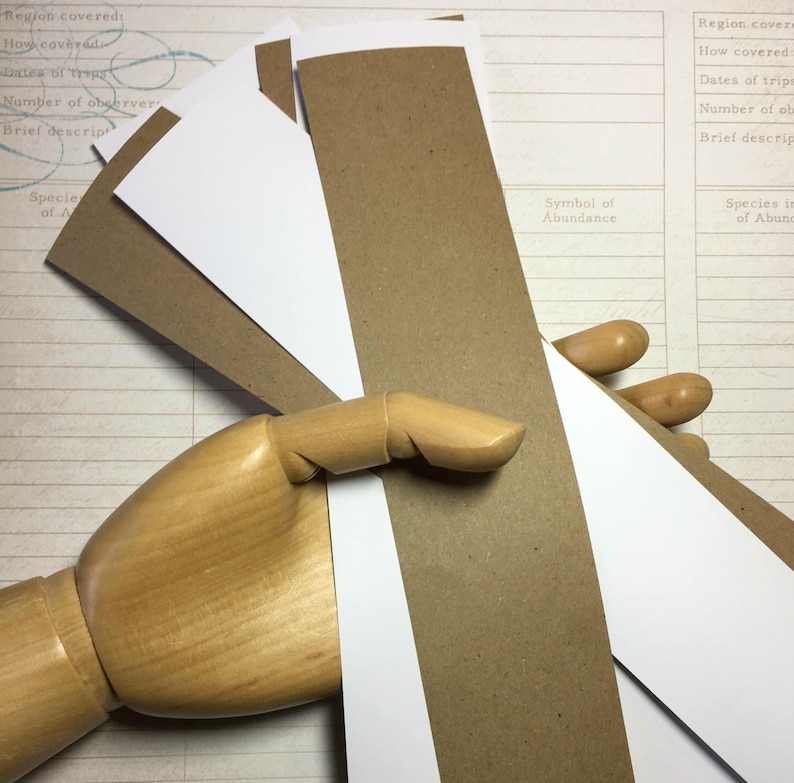 BLANK Paper Belly Bands Wide 100 . Kraft Brown or Bright Etsy