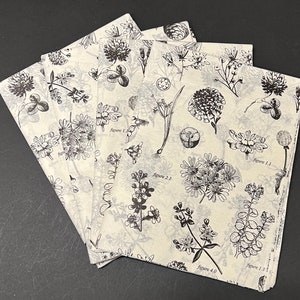 Papier de soie botanique - noir et blanc 15 x 20 ou 20 x 30 emballage emballage cadeau papier d'emballage mariage douche fleurs plantes rustique dessin au trait