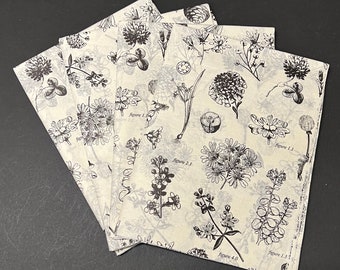 Botanicals Tissue Wrap - Black and White 15x20 or 20x30 Packaging Gift Wrap Wrapping Paper Wedding Shower Flowers Plants Rustic Line Drawing