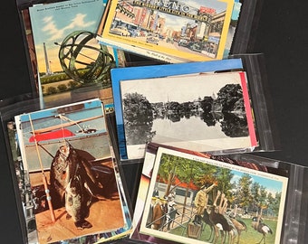 Vintage Postcards Assortment (10, 25, or 50) Quirky Used Unused Travel People Animals History Art Junk Journaling Pen Pal Mixed Media
