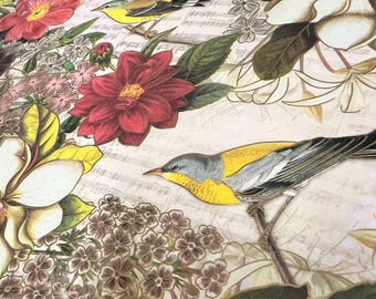 Beautiful Botanic Tissue Wrap - Vintage Look Colorful 15x20 or 20x30 Packaging Gift Paper Pretty Birds Flowers Print Gold Highlights Luxury