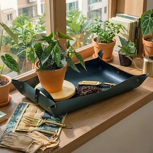 Puede incluir: Una escena de jardinería en un alféizar de madera. Una bandeja de cuero verde oscuro contiene tierra y una paleta dorada. Una planta en maceta se encuentra sobre un posavasos de madera. También se ven herramientas de jardinería, guantes y más plantas en macetas de terracota.