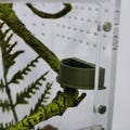 Custom Magnetic Jumping Spider Feeding Dishes & Platforms, Durable for Tarantulas product logo