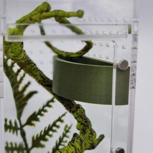 Custom Magnetic Jumping Spider Feeder Dishes & Feeding Platforms, Easy-to-Use Design for Tarantulas