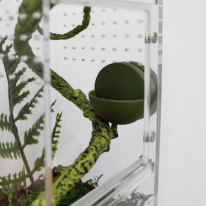 Custom Magnetic Jumping Spider Feeder Dishes & Feeding Platforms, Durable Easy-to-Use Design for Tarantulas