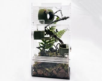 Geometric Treehouse Terrarium with Mesh Ventilation – Ideal for Arboreal Tarantulas, Jumping Spiders, and Small Insects