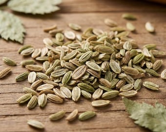 Semillas de Ashitaba (Angelica keiskei), variedad con alto contenido de calcona, auténticas semillas japonesas de Ashitaba "Hoja del Mañana", más de 100 semillas