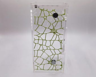 Magnetic Jumping Spider Moss Ribbon - Creative Spider Habitat Decor