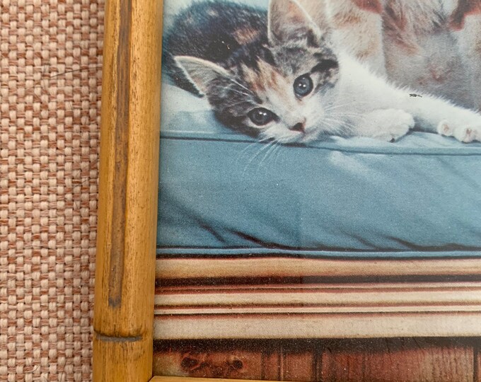 Vintage Bamboo Frame Etsy