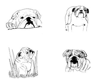 Bulldog Notecards (6)