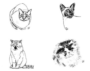 Cat Notecards (1)