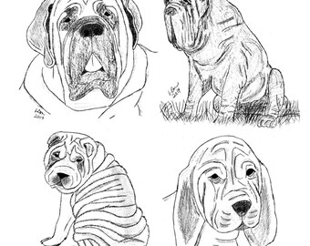 Wrinkles Notecards