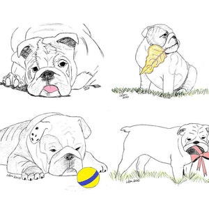 Pop-O-Color Notecards (1)