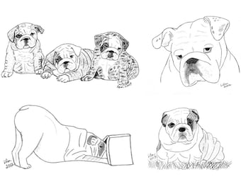 Bulldog Notecards (12)