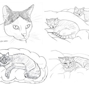 Cat Notecards (3)