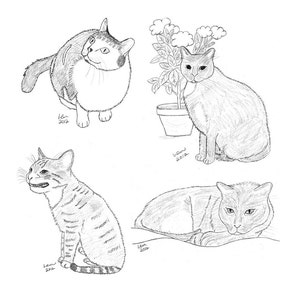 Cat Notecards (4)