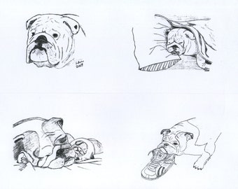 Bulldog Notecards (2)
