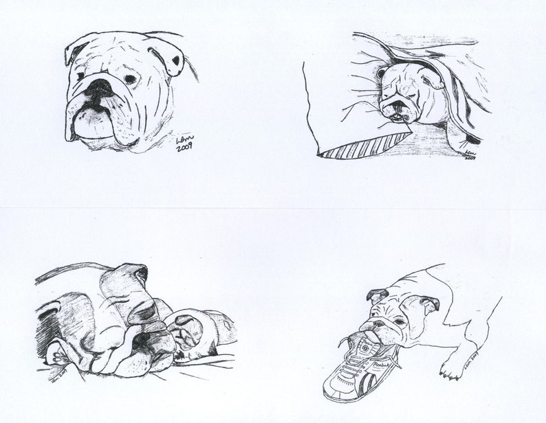 Bulldog Notecards 2 image 1