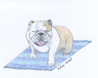 Bulldog on Rug Notecards