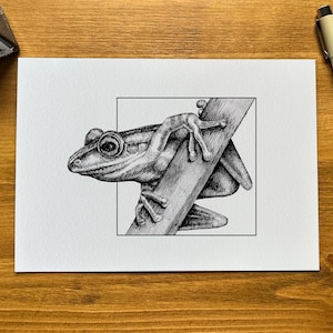 May include: A black and white pen and ink drawing of a frog perched on a branch. The frog is facing to the left and has a large, round eye. The drawing is detailed and realistic.