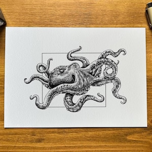 May include: A black and white ink drawing of an octopus with eight tentacles. The octopus is drawn in a realistic style and is surrounded by a white square.
