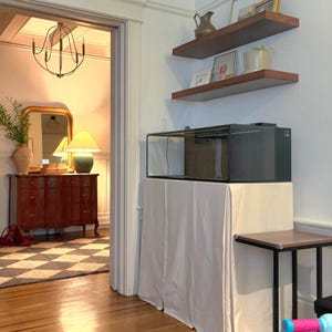 May include: An interior shot featuring a reptile enclosure on a white-covered stand, with floating shelves above. The shelves hold framed pictures and a decorative pitcher. A small side table is next to the stand. The room has hardwood floors and a view into another room.