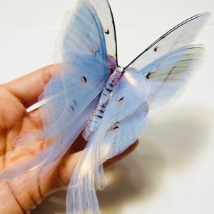 MOON butterfly - white Unicorn wings - 3D translucent butterfly wall art - black and white butterfly - installation art - black butterflies