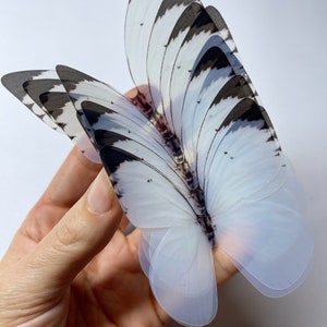 WHITE butterflies - white Unicorn wing - 3D translucent butterfly wall art - black and white butterfly - installation art - black butterfly