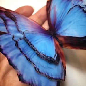 HUGE UNICORN butterflies - translucent butterflies - ombre blush lavender and blue butterfly - 3D Blue butterfly installation wall decor