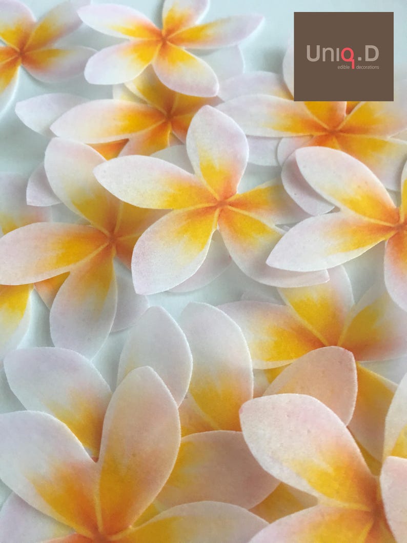 24 hawaiian edible flowers bright yellow Hibiscus edible ...