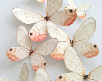 Peach blush decorative butterflies , Wall art nursery decoration - Pastel die cut out craft , Uniqdots