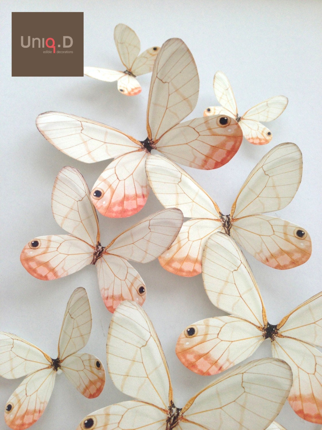 Pack de 18 papillons 3D adhésifs translucides noir et blanc