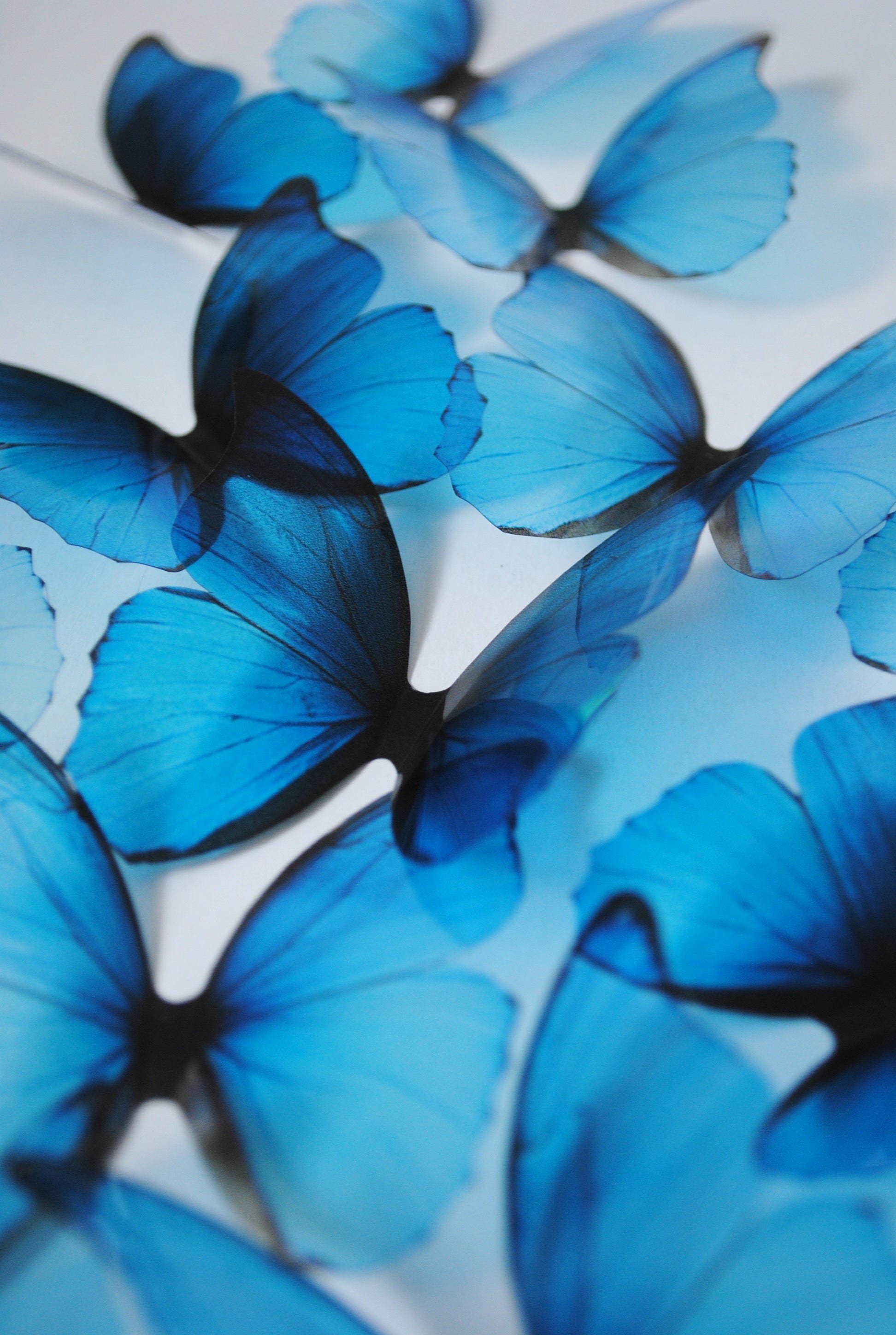 12 blue plastic craft butterflies-pf751566bl