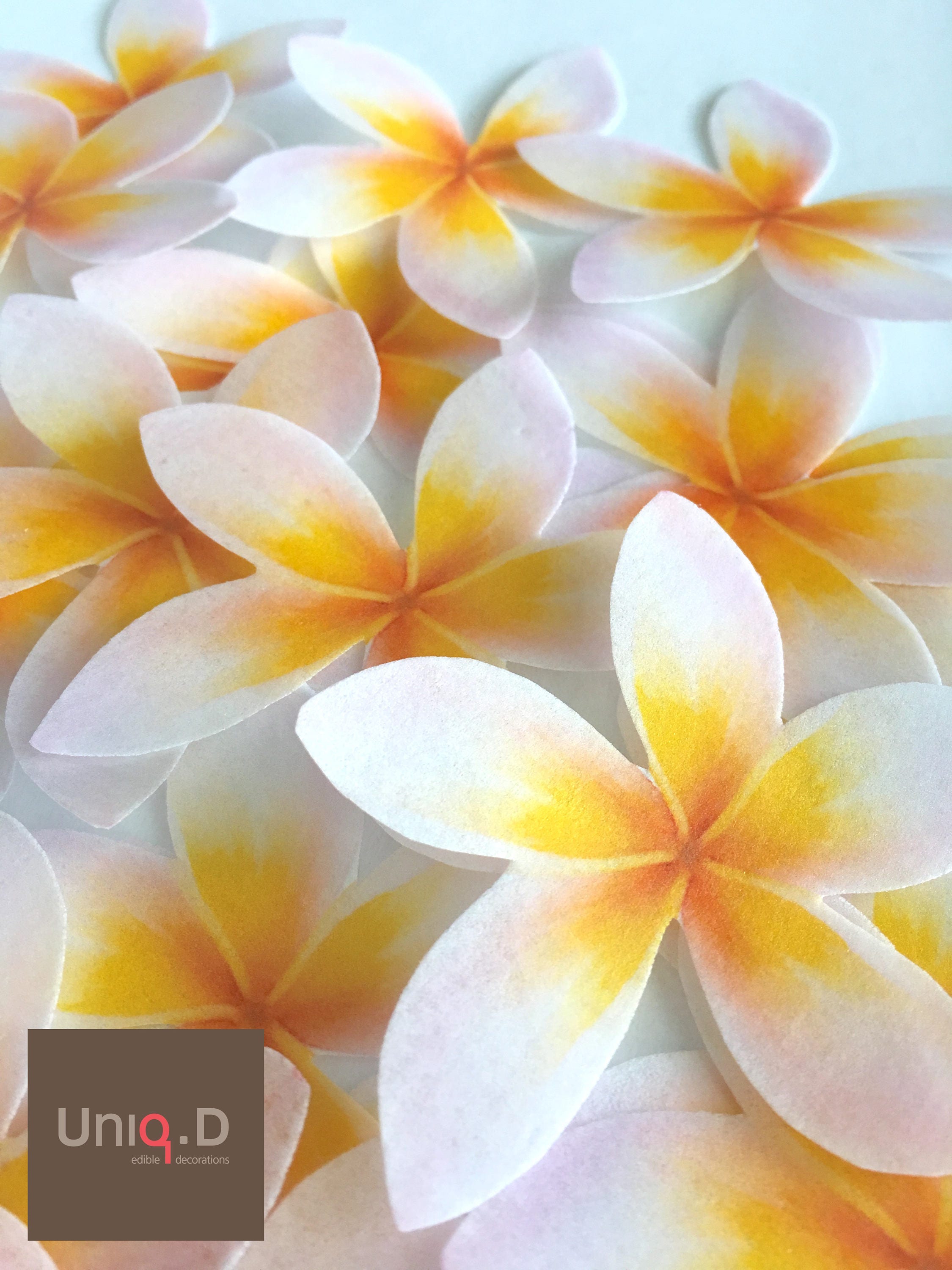 24 hawaiian edible flowers bright yellow Hibiscus edible ...