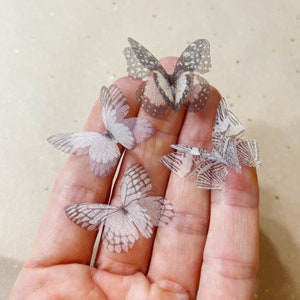 new Miniature BLACK and WHITE silk butterflies - realistic silk White Morpho butterfly wing - 3D Black and White butterfly - White Butterfly