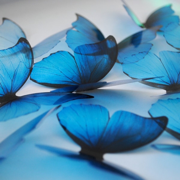 Blue rainbow decorative butterflies . 3D Plastic butterflies . Ombre blue butterfly . Blue butterfly . Something blue . Butterfly wall decor