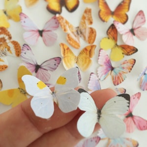 3D MINIATURE BUTTERFLIES, realistic printed cards-tock butterflies, mix mini paper butterflies, 3D lavender yellow ombre nursery decoration