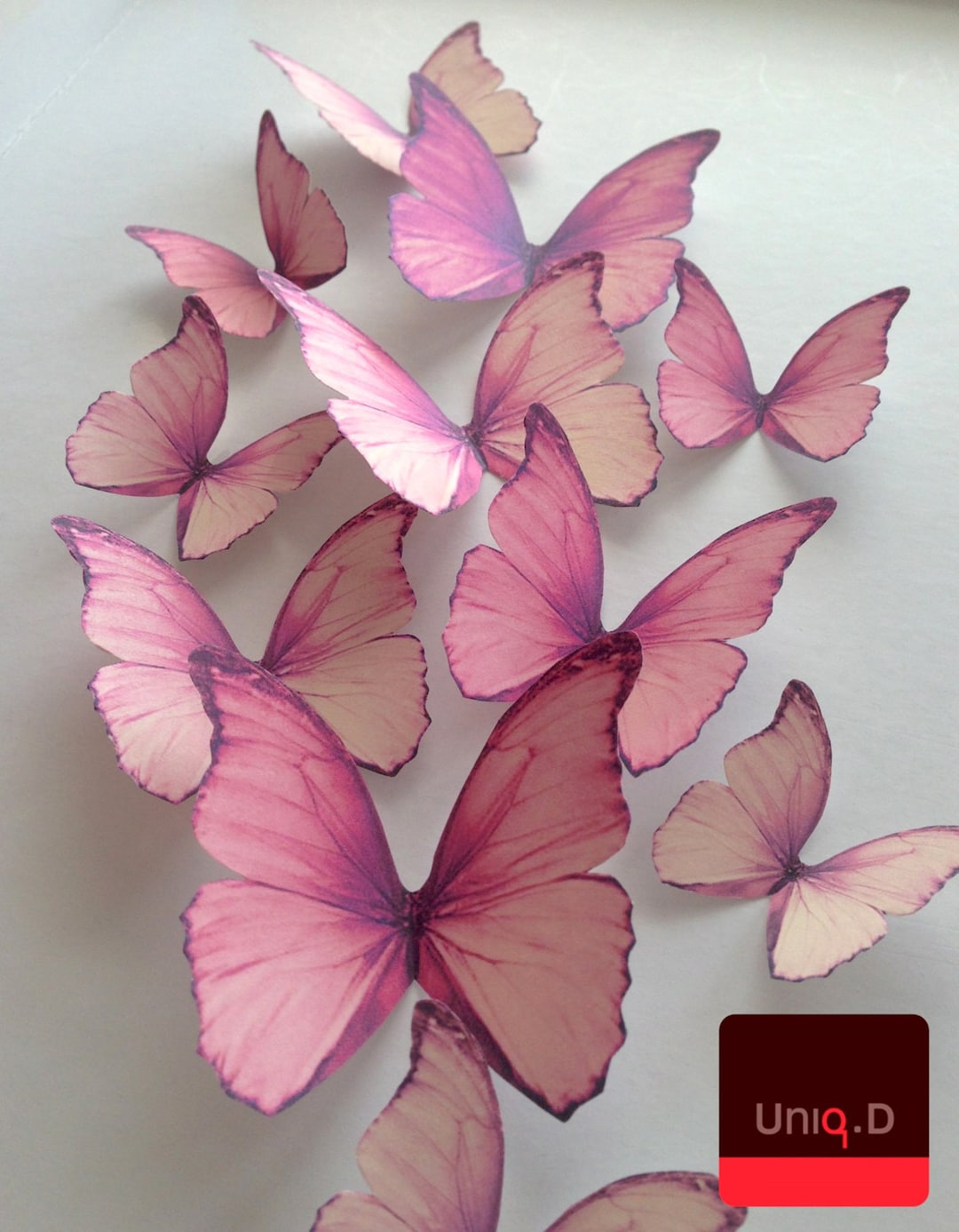 Butterflies & Solid Pink