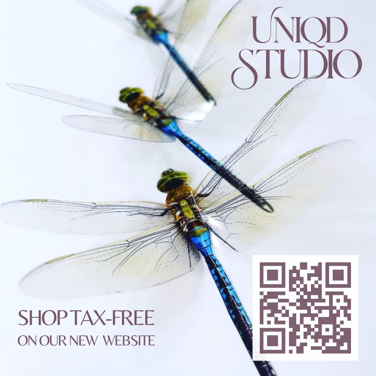 BLUE PLASTIC DRAGONFLIES  blue dragon butterfly Wings - fairy unicorn wings - 3D green dragonfly wings - adhesive butterfly wall art decor