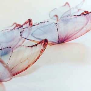 May include: A group of delicate, translucent butterfly wings with a soft, pale blue and pink color scheme. The wings have a subtle, reddish-brown outline.