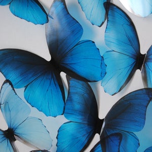 Blue Frozen butterfly . Plastic butterfly .  Ombre blue butterfly collection . Blue butterfly wall art decoration . Blue rainbow wings