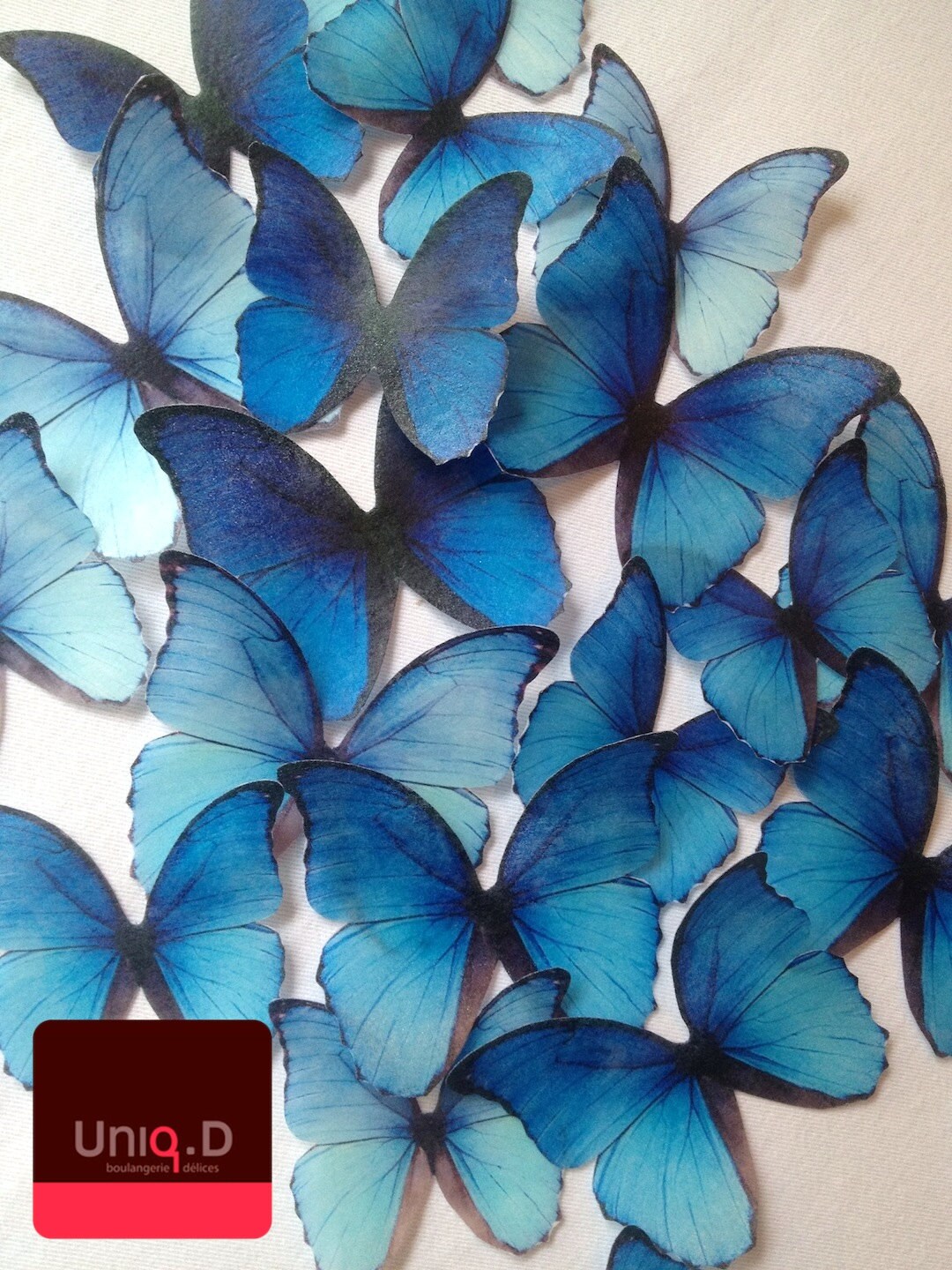 Disney frozen birthday party frozen edible butterflies BUY Etsy