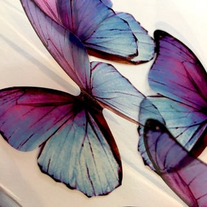 Frozen Blue Butterflies 3D Blue Transparent Butterfly Purple Blue Butterfly  Blue Wall Art Butterfly 3D Frozen Butterfly Wall Decor -  Norway