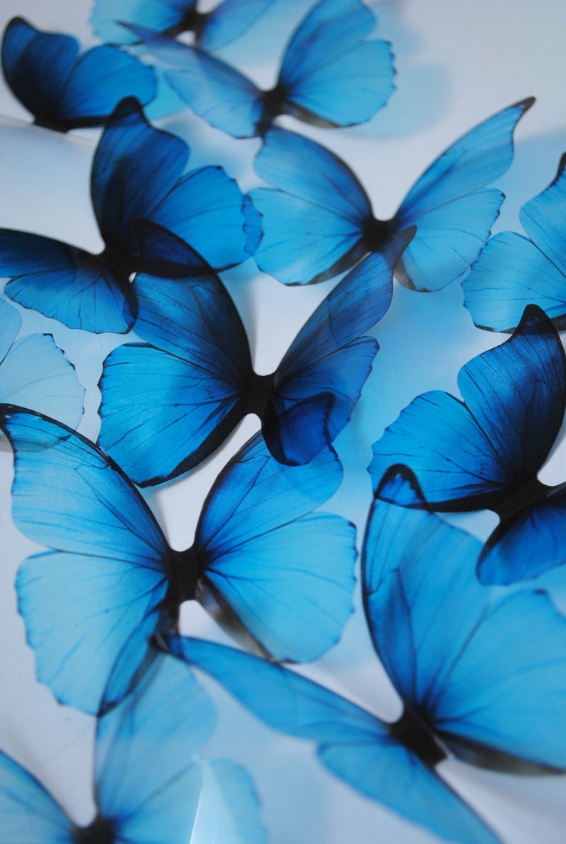 Бабочки Эстетика
