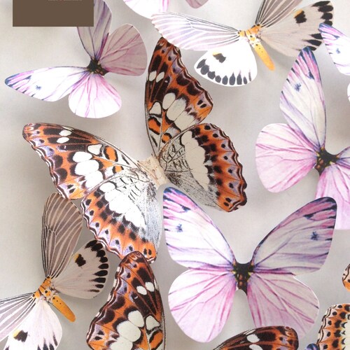 Lavender NURSERY DECORATION 3D Lavender Blush Butterflies Etsy